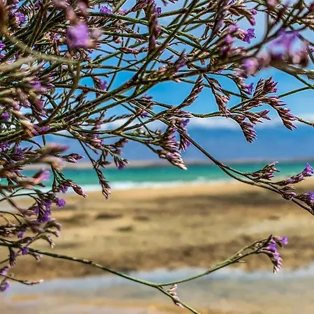 Apartament Bon Vivant